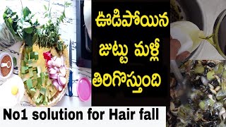 No1 solution for Hair fall #hairoilsforgrowth