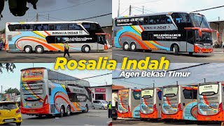 Kesibukan di Agen Bus ROSALIA INDAH Depsos Bekasi Timur