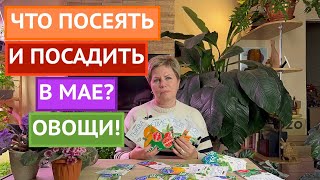 КАКИЕ ОВОЩИ МОЖНО И НУЖНО ПОСЕЯТЬ В МАЕ!