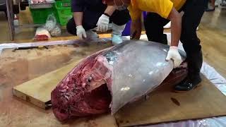 TUNA CUTTING | CAPCALOY ETC.