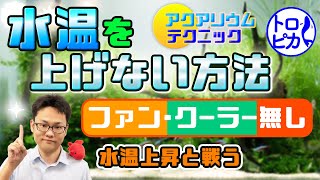 【水槽が熱い】水温を上げない方法を教えます！ファン、クーラー無しで水温上昇と戦う！