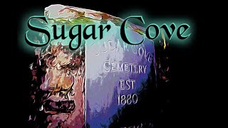 Sugar Cove Cemetery Paranormal investigating we make contact with spirits & they drained our battery