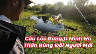 Câu cá lóc rừng U Minh Hạ cùng anh Vinh Ròm Và em Duy Sóc Trăng | Chuyến câu cá rừng P.3 năm 2024