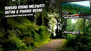 RIDING MELEWATI KAKI BUKIT DAN POHON2 BESAR BLADO BATANG