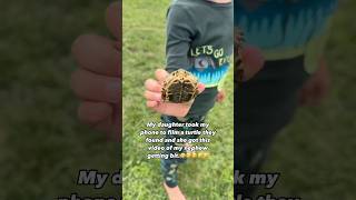 This little boy showing a baby turtle is hilarious 😂 @emilyboazman