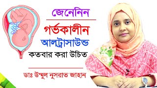 গর্ভাবস্থায় কতবার আলট্রাসাউন্ড করা উচিত | Ultrasound pregnancy test | Bangla Tips | Doctor Tube