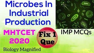 IMP MCQs & Concepts on Microbes in Household & Industrial Production/ Microbes in human wlefare 12th