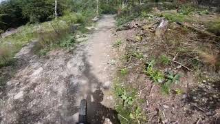 Marin Trail final descents - Gwydir Forest