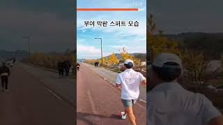 부여마라톤 마지막 스퍼트 모습이 찍혔어요~ #하프코스 #marathon #달리기 #슈플라이트 #베플라이트 #전국마라톤협회 #월드런 #전마협