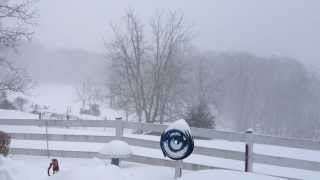 Snow at Sierra Linda Farm (February 2014)