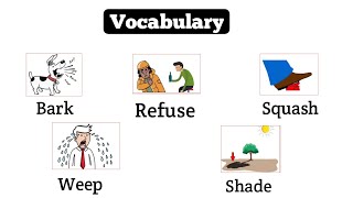 Daily use English Vocabulary | vocabulary in English