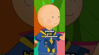 Caillou Neden Kel ?