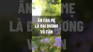 Ân mẹ cha là đại dương vô tận #baihoccuocsong