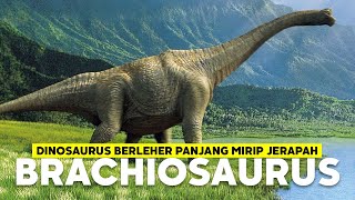 Mengenali Brachiosaurus Sepupunya Jerapah | #BelajarDuniaPurba