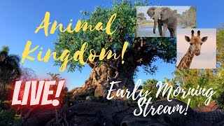 🔴LIVE: Disney’s Animal Kingdom | Disney World Livestream | 9/29/2024