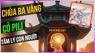 Chùa Ba Vàng - Cỏ Pili - Tâm lý con người [Dưa Leo DBTT]