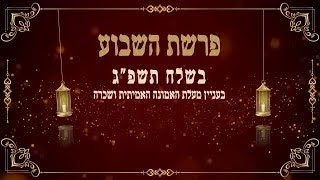 שיעור פרשת השבוע בשלח- שבת שירה תשפ"ג בעניין מעלת האמונה האמיתית ושכרה, אידיש הרב סיני הלברשטאם