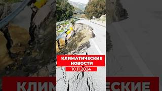 Климатические новости за 10.11.2024