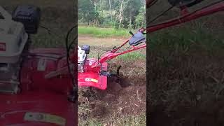 TEST TRAKTOR HONDA di lahan keras