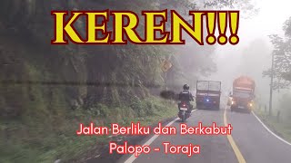 Keren!!! Jalan Berliku dan Berkabut Palopo - Toraja