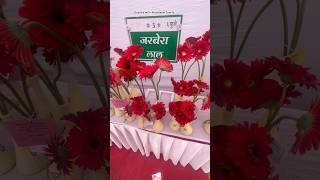 Jarbera Flowers #flowershow2024 #youtubeshorts