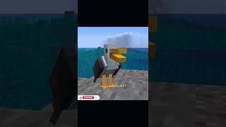 GAIVOTAS NO MINECRAFT QUE ISSO!!