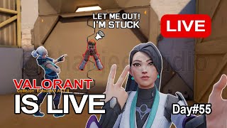 Day 55 | Valorant LIVE #valorant #live #gaming #ytshorts #funny #youtubeshorts #shorts #trending #yt