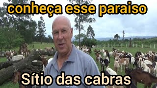 Você precisa conhecer o recanto das cabras !! portão. RS