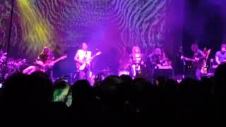 Brian Jonestown Massacre, Dandy Warhols, Black Angels perform "Sister Ray" Levitation 2023