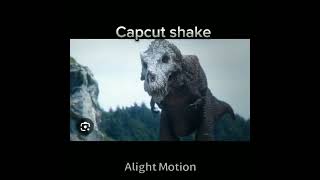 my Capcut shake vs My Alight motion shake