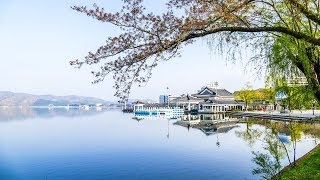 韓國·釜山、慶州·普門湖賞櫻五日遊(0412~0416)