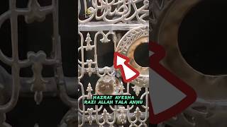 प्यारे नबी ﷺ की कबर मुबारक Roza E Rasool #islamic #viralvideo #islam #muhammadﷺ #rozaerasul #facts