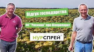 Відгук господарства ФГ "Росинка" про біопрепарат Нурспрей