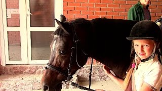 Жашков. Конно-спортивный комплекс. Zhashkiv equestrian complex.