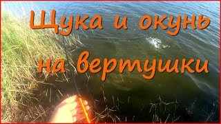 Рыбалка на спиннинг осенью. Ловля щуки и окуня на вертушки.