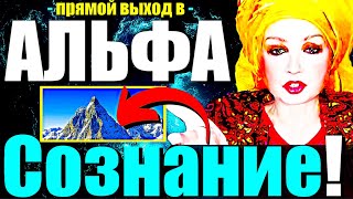 СДЕЛАЙ ЭТО!-и Сегодня Просветлеешь!"МОЩНАЯ-ТЕХНИКА Выхода в Сознание!-Сатсанг с Ангеладжи Гуру 2024