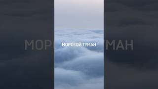 Морской туман над Геленджиком #shorts