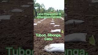 Basal Fertilizer (Chicken Manure) for Bittergourd/Ampalaya Farming