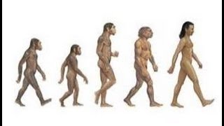 Evolution des Homo Sapiens