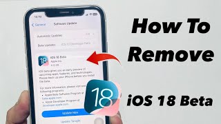 How to Remove iOS 18 Developer Beta from any iPhone