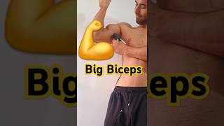 Bigger Biceps