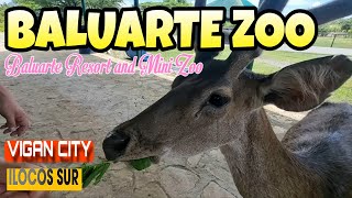 Explore The Exotic Wildlife At Baluarte Zoo In Vigan City, Ilocos Sur!