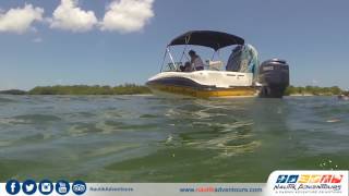 Wakeboarding in Cancun with a dolphin pursuit in the Nichupte Lagoon