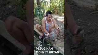 PESUGIHAN MONYET HUTAN #pesugihan #penarikanbendagaib #gussamsudin #sejarahmisteri