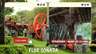 MUSEO DE LA CAÑA DE AZUCAR PALMIRA  |  🌺Flor Soñada 1/3