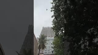 Thiruvanamali temple girivalam #song #tamil #music #girivalam