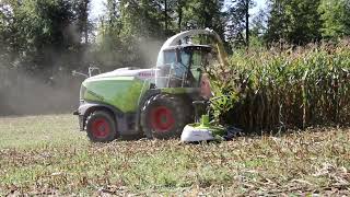 ENSILAGE 2023 CLAAS JAGUAR 970 🌾 🌾 🌽 🌽