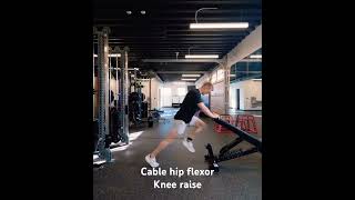 Cable hip flexor knee raise