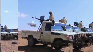 DAAWO:  PUNTLAND OO FASHILISAY ARGAGIXISADA BOSASO DADKA KU LAYN JIRTAY