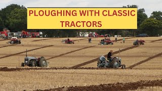 Forest of Arden Ploughing Match 2024-Classic Tractors